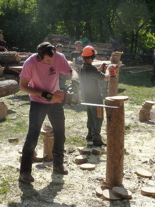 Le bois : une richesse à préserver et exploiter. La Fête du bois a lieu ce week-end à la Martre Le bois : une richesse à préserver et exploiter. La Fête du bois a lieu ce week-end à la Martre