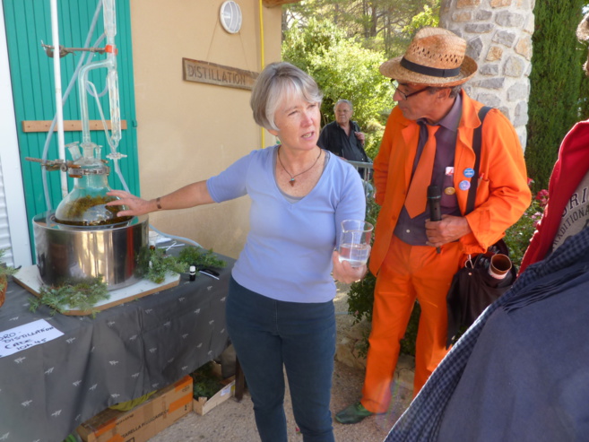 Le bois : une richesse à préserver et exploiter. La Fête du bois a lieu ce week-end à la Martre Le bois : une richesse à préserver et exploiter. La Fête du bois a lieu ce week-end à la Martre