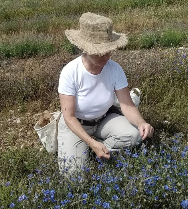 La chronique de Gabrielle - Le métier d'Herboriste La chronique de Gabrielle - Le métier d'Herboriste