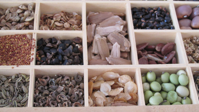 Au marché du Brusquet, gros plan sur la bourse aux graines, bourse de liberté Au marché du Brusquet, gros plan sur la bourse aux graines, bourse de liberté