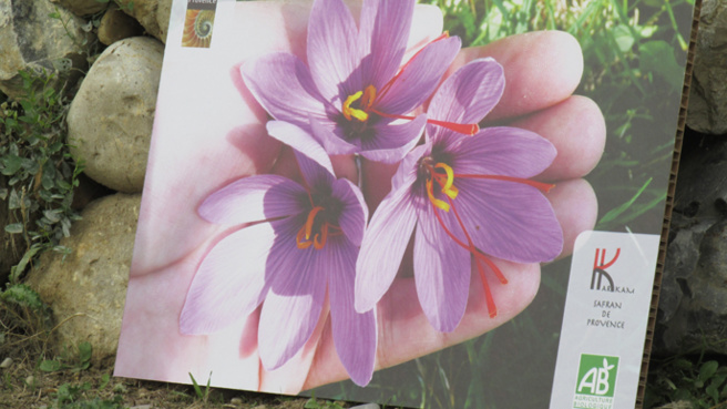 Trois semaines pour mieux connaître notre région. L’opération « Bienvenue chez vous » débute le 9 octobre. Trois semaines pour mieux connaître notre région. L’opération « Bienvenue chez vous » débute le 9 octobre.