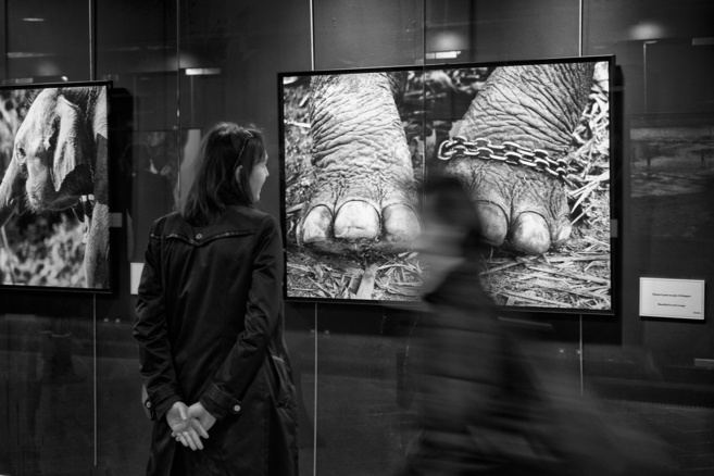 © James Vil © James Vil