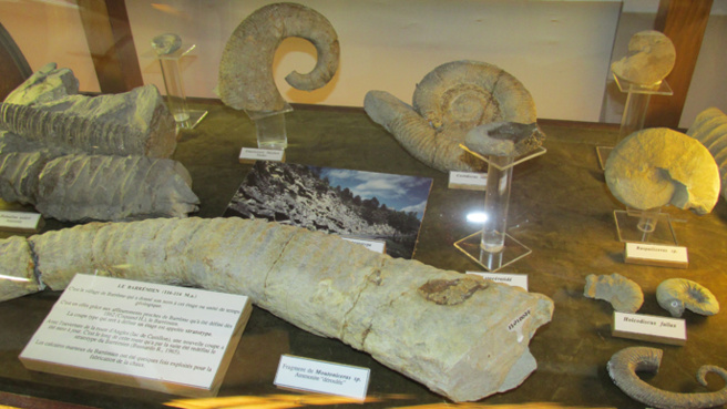 Le Musée Promenade de Digne s’est refait une beauté, un lieu emblématique du Géoparc Le Musée Promenade de Digne s’est refait une beauté, un lieu emblématique du Géoparc