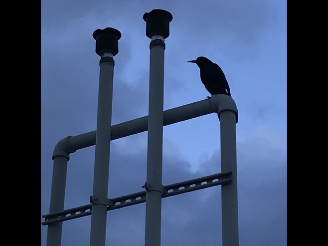 LA MISSION FRY A MARSEILLE - Episode 20 LA MISSION FRY A MARSEILLE - Episode 20