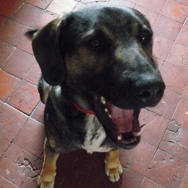 FRÉQUENCE MIX - LUNDI 23 NOVEMBRE 2015 ! FRÉQUENCE MIX - LUNDI 23 NOVEMBRE 2015 !