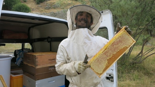 François Vuillemin François Vuillemin