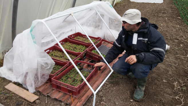 Les jardins de Léoria vitrines d’un couple de passionnés ! Les jardins de Léoria vitrines d’un couple de passionnés !