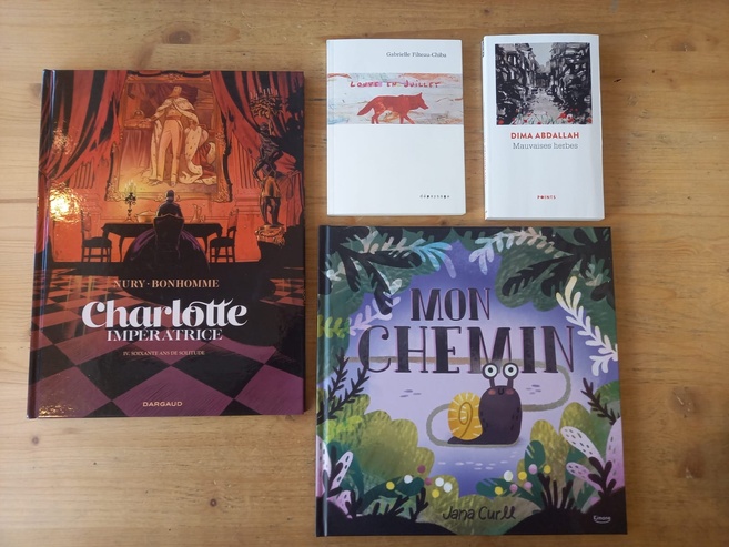 La chronique littéraire de la librairie Voyage au bout des livres 2/2 La chronique littéraire de la librairie Voyage au bout des livres 2/2