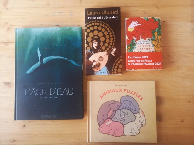 La chronique littéraire de la librairie Voyage au bout des livres 2/2