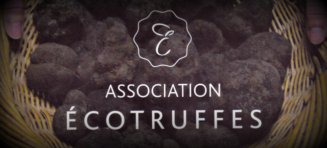Ecotruffes: une association qui a du nez Ecotruffes: une association qui a du nez