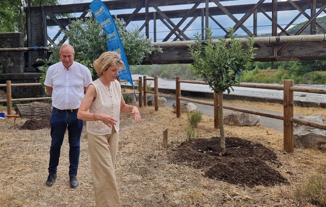 Lancement d'une forêt comestible pour finaliser la "coulée verte et aquatique" de Digne-les-Bains Lancement d'une forêt comestible pour finaliser la "coulée verte et aquatique" de Digne-les-Bains