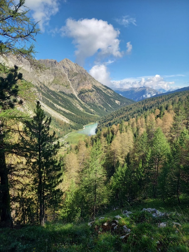 Balade contée dans le bois des Ayes Balade contée dans le bois des Ayes