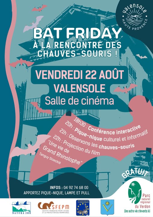 Bat Friday : une soirée découverte des chauves-souris à Valensole