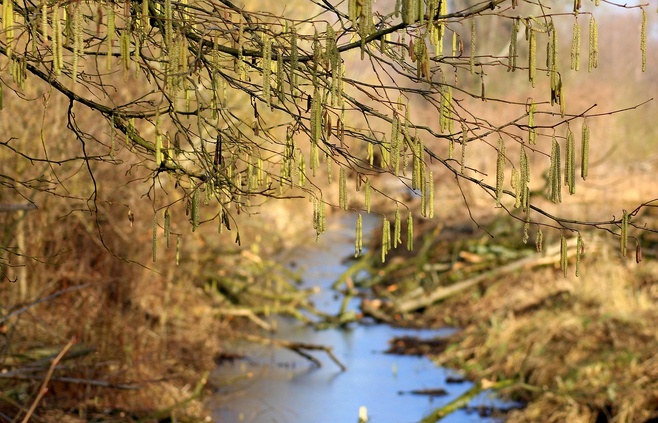 Que sont les laves torrentielles ?