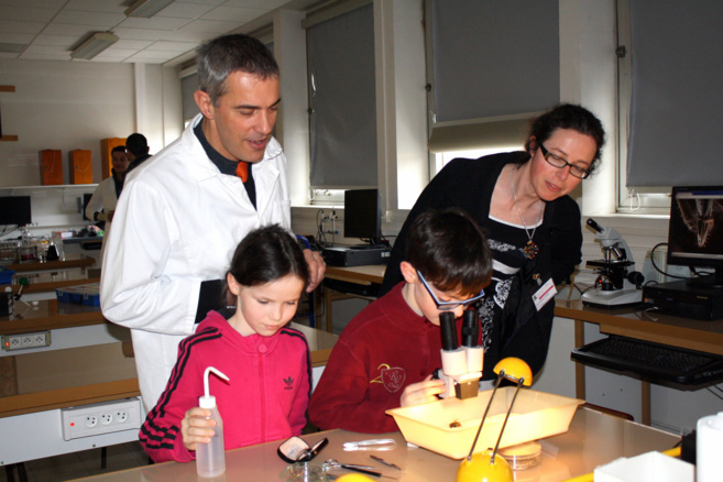 Le lycée Paul Arène a vécu une belle journée porte ouverte ! Le lycée Paul Arène a vécu une belle journée porte ouverte !