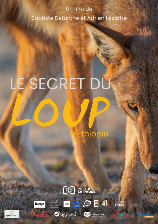 Le secret du loup d'Ethiopie avec Baptiste Deturche, Dans le mag "A la bonne heure !" - 09/12/2025 Le secret du loup d'Ethiopie avec Baptiste Deturche, Dans le mag "A la bonne heure !" - 09/12/2025