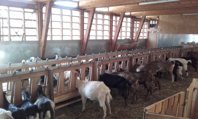 L’opération "De ferme en ferme" a fait étape à Moustiers L’opération "De ferme en ferme" a fait étape à Moustiers