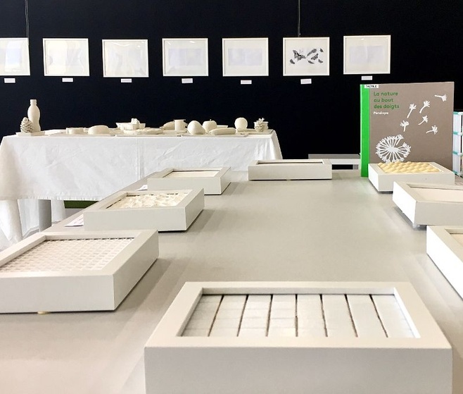 La Nature au bout des doigts, exposition tactile à la Médiathèque La Nature au bout des doigts, exposition tactile à la Médiathèque