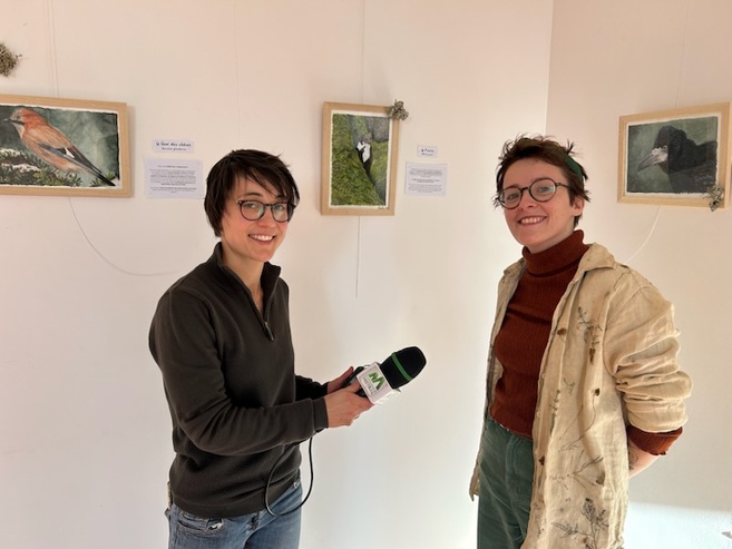 Valoriser "Les mals-aimés" : rencontre avec l'illustratrice Tiphaine Debron