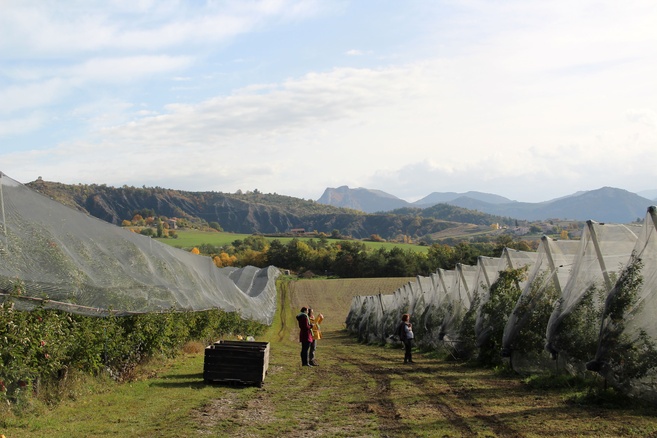 Loco du Bio EP#14 - Famille Megy : Le GAEC de la Maurelle Loco du Bio EP#14 - Famille Megy : Le GAEC de la Maurelle