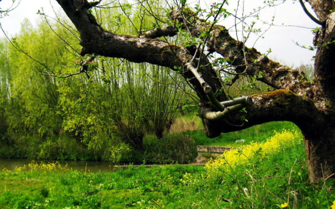La fête de la nature aura lieu prochainement à Ribiers ! La fête de la nature aura lieu prochainement à Ribiers !