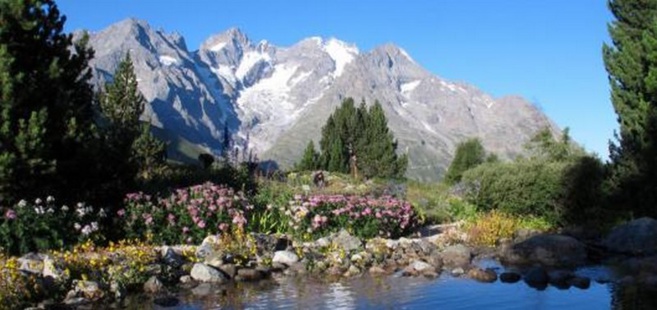 Jardin Botanique Alpin