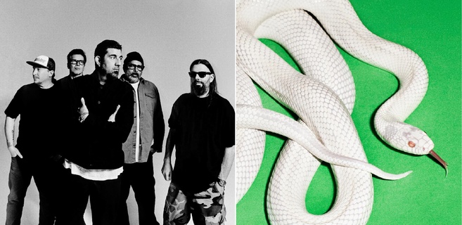 Bouge ton Algo - Deftones !