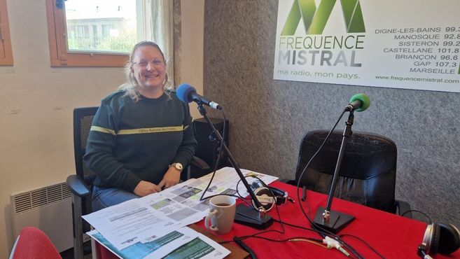 Camille Loudun-Hamon, responsable de l'unité territoriale de Sisteron à l'ONF