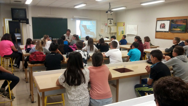 RAPHAEL COLOMBO ÉCLAIRCIT LES MYSTÈRES DE LA CHAUVE-SOURIS AU COLLÈGE PAUL ARÈNE DE SISTERON RAPHAEL COLOMBO ÉCLAIRCIT LES MYSTÈRES DE LA CHAUVE-SOURIS AU COLLÈGE PAUL ARÈNE DE SISTERON