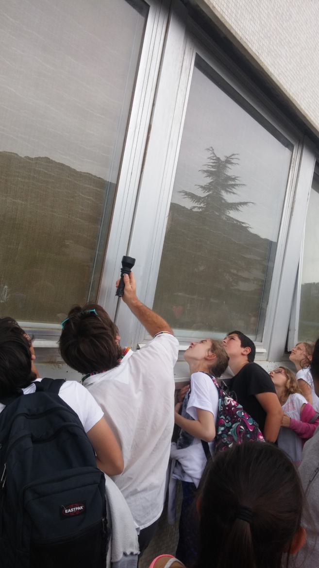 Les élèves découvrent les Molosses de Cestoni Les élèves découvrent les Molosses de Cestoni