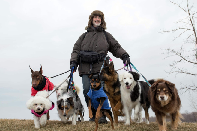 MERCREDI 22 JUIN 2016 : DE TOILE EN TOILE - CHRONIQUE DÉDIÉE AU 7ÈME ART MERCREDI 22 JUIN 2016 : DE TOILE EN TOILE - CHRONIQUE DÉDIÉE AU 7ÈME ART