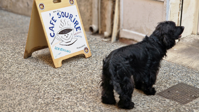 Le café sourire de la rue de l'hubac à Digne les Bains : un lieu de partage et d'amitié Le café sourire de la rue de l'hubac à Digne les Bains : un lieu de partage et d'amitié