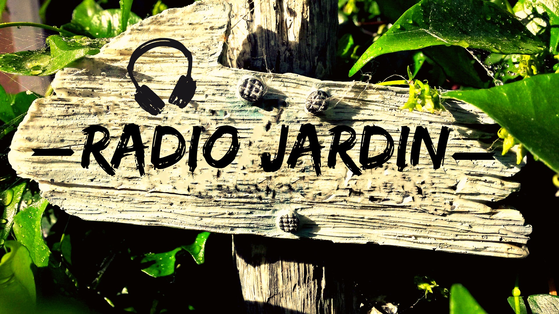 Radio Jardin du 23 Août 2016