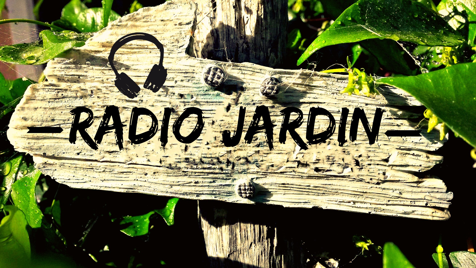 Radio Jardin du 06 septembre 2016