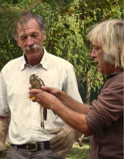Préservation de l’environnement dans les Hautes Alpes