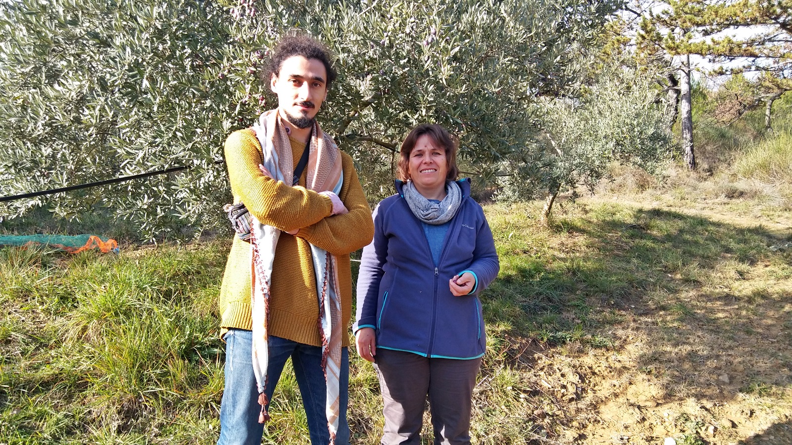 Apprendre le développement durable dans les oliviers !