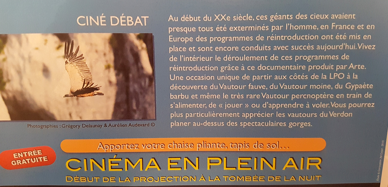 Les vautours sont de retour, une projection-débat les écrans du lac