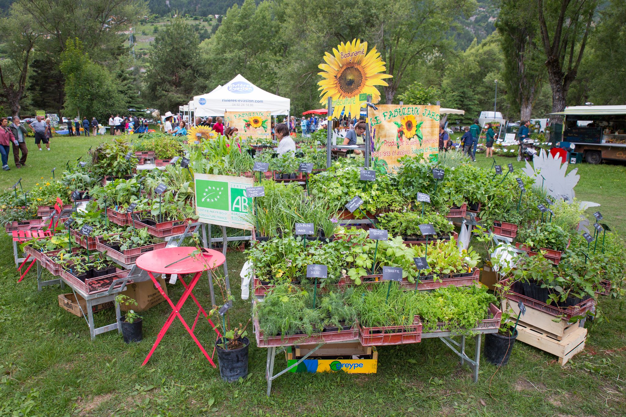 Le festival des plantes se tiendra à Mont Dauphin