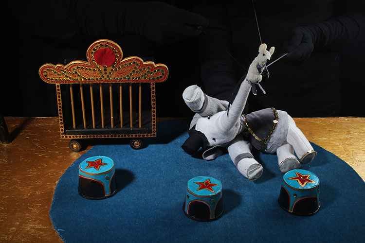 Le cirque des éléphants s'invite dans une école briançonnaise