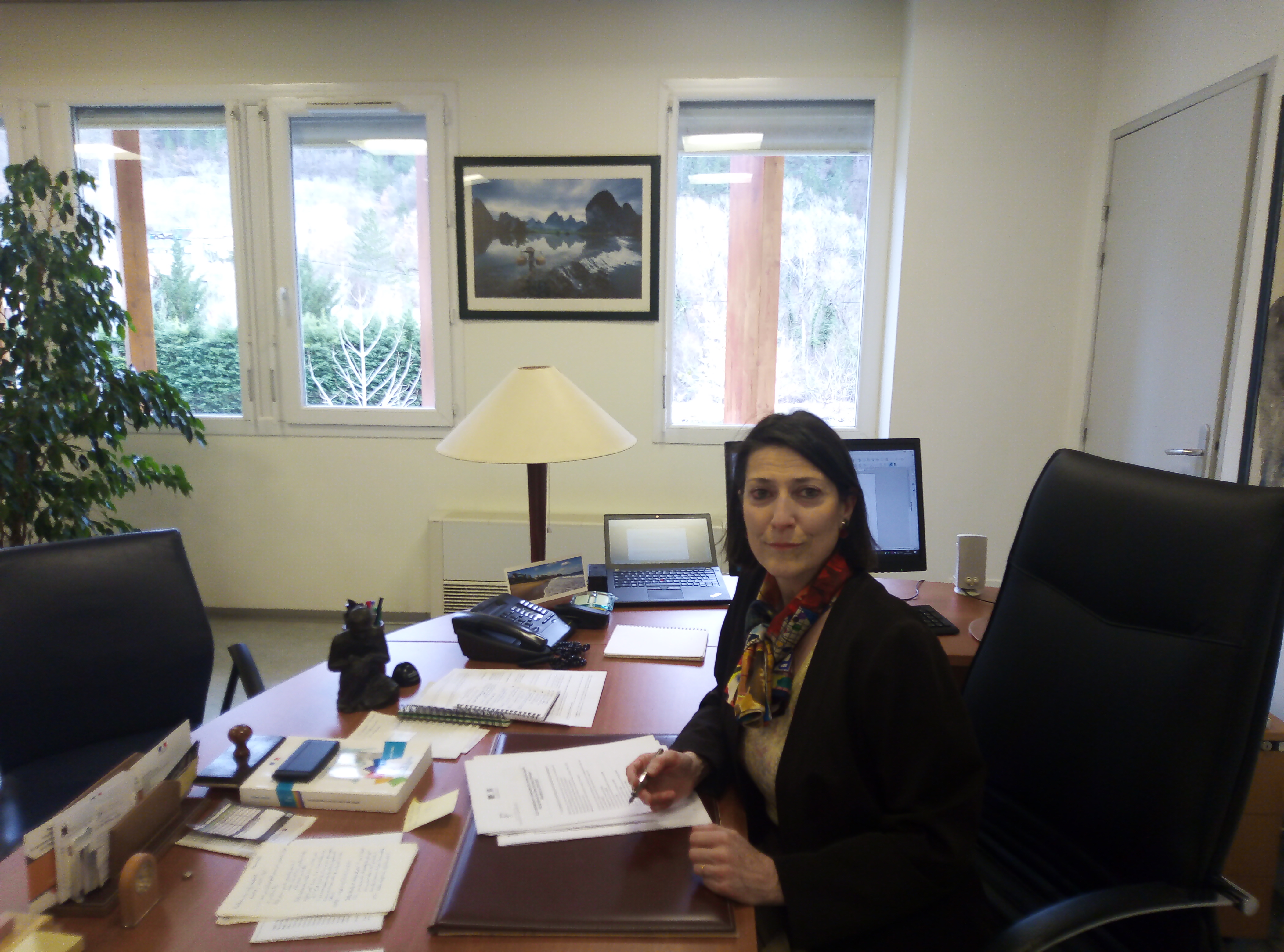 Les Finances Publiques En Mode Covid 19 Les Finances Publiques En Mode Covid 19