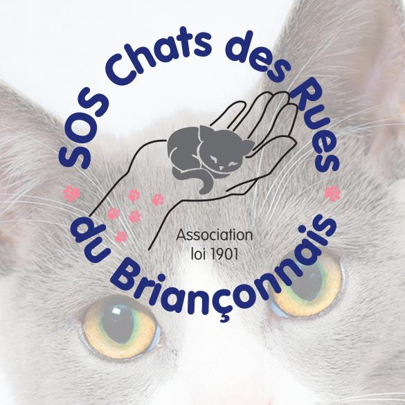 L'association Sos chats des rues du Briançonnais poursuit ses actions