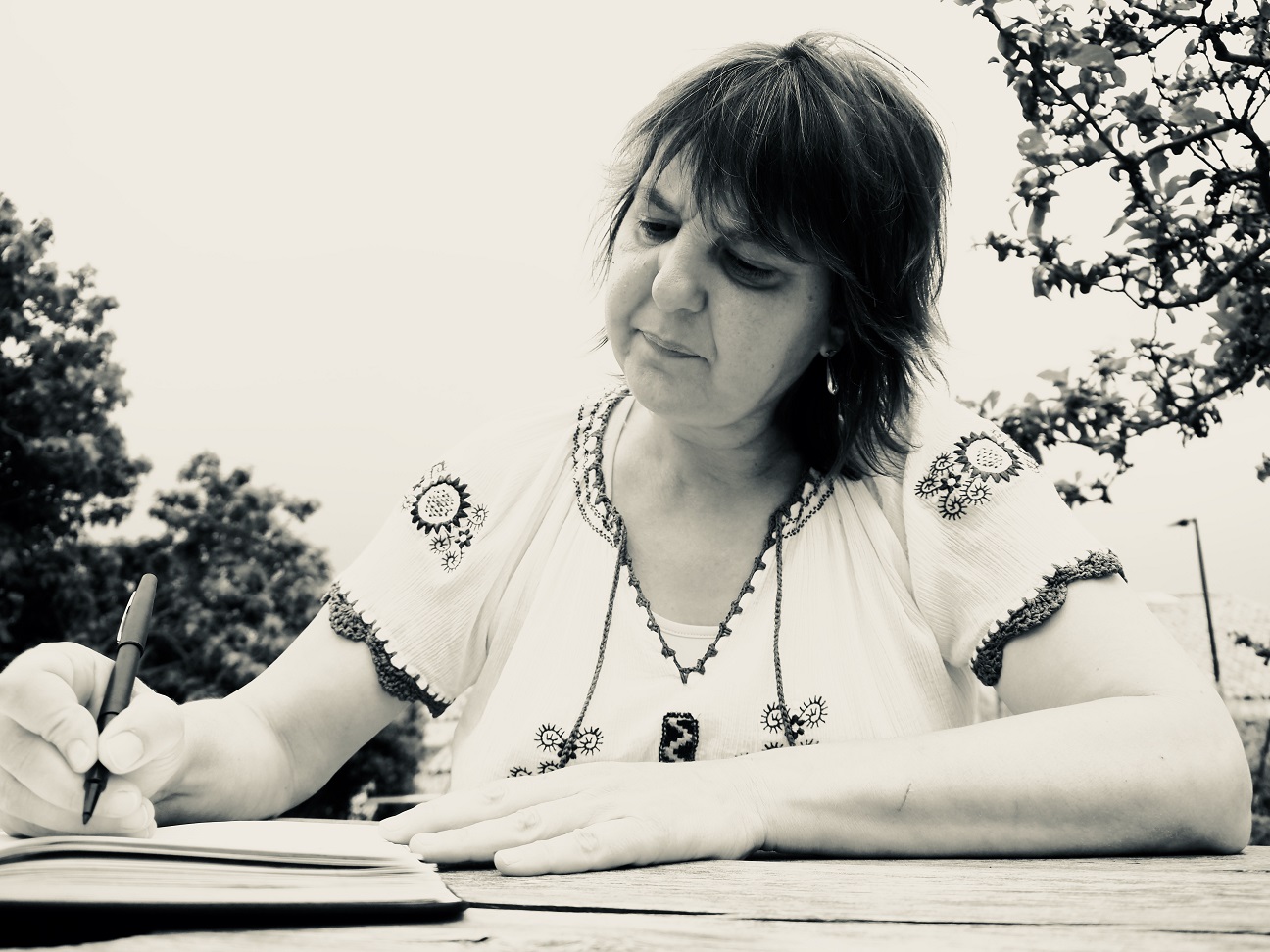 L'invitée dans la Chronique by James-passeur de mots : Stéphanie Besson ...