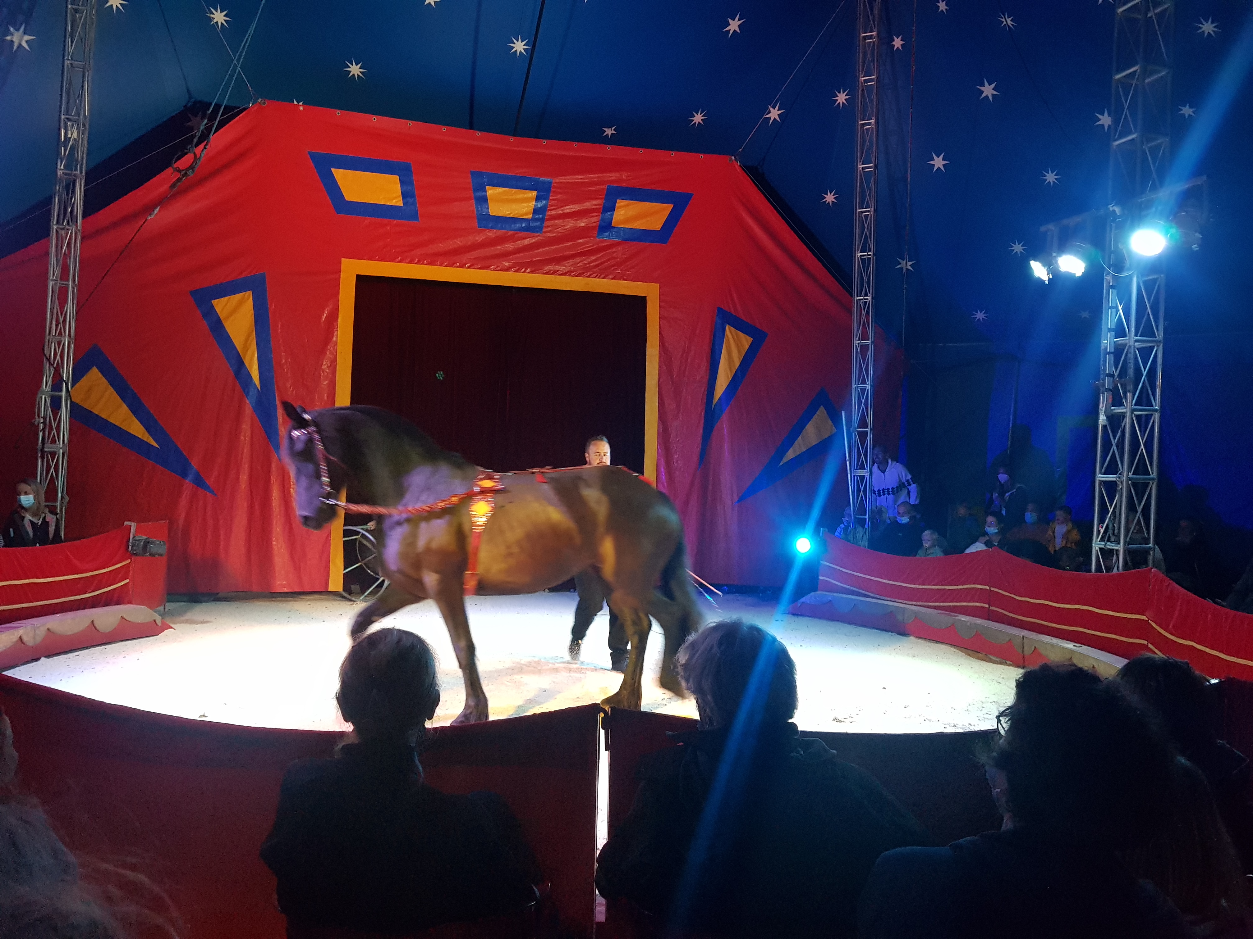 Venez rêver les yeux ouverts au cirque l'Eden Circus !