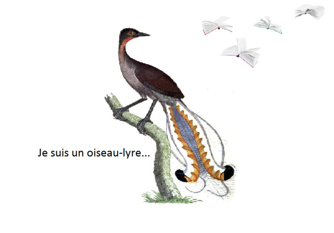 Je suis un oiseau-lyre : Plume de Henri Michaux