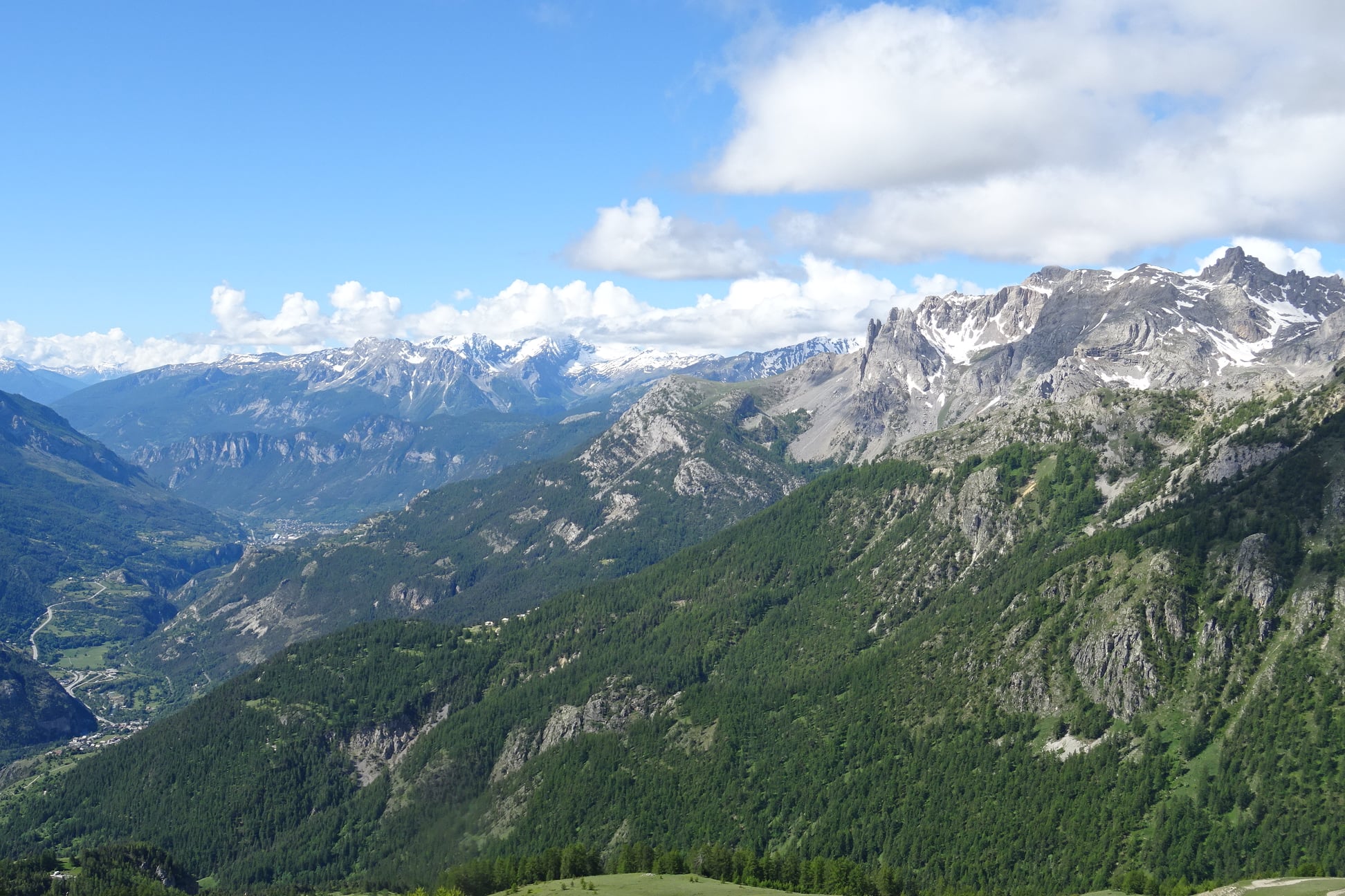 Une aventure associative et environementales: Forêts Alpines !