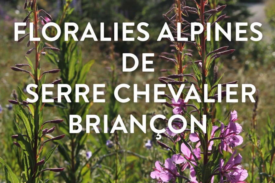 Les Floralies Alpines de Serre Chevalier reviennent cet été !