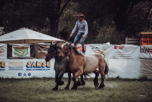Kav'alp vous propose de nombreux spectacles équestres cet été