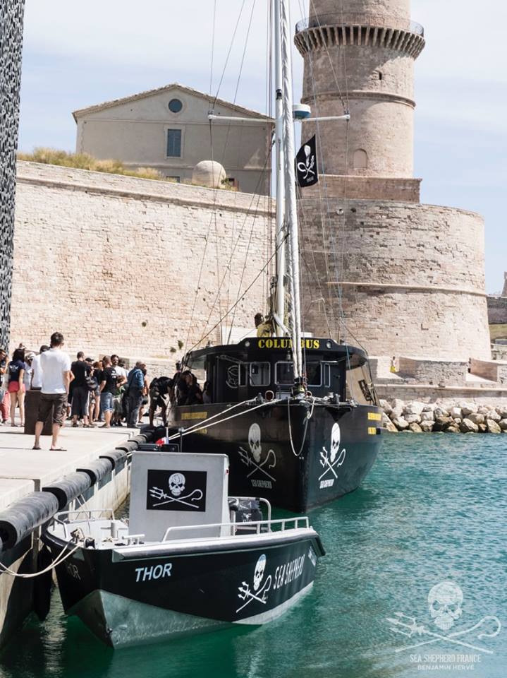 Lancement à Marseille de la Campagne MARE NOSTRUM par Sea Shepherd et ses bénévoles Marseillais.