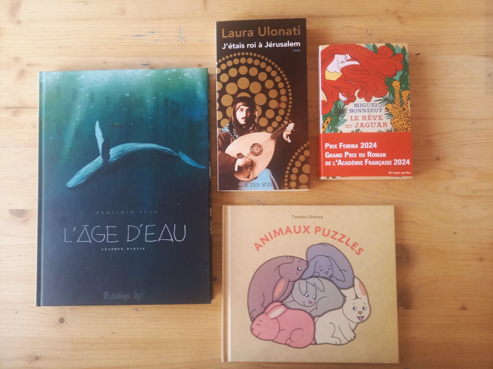 La chronique littéraire de la librairie Voyage au bout des livres 2/2