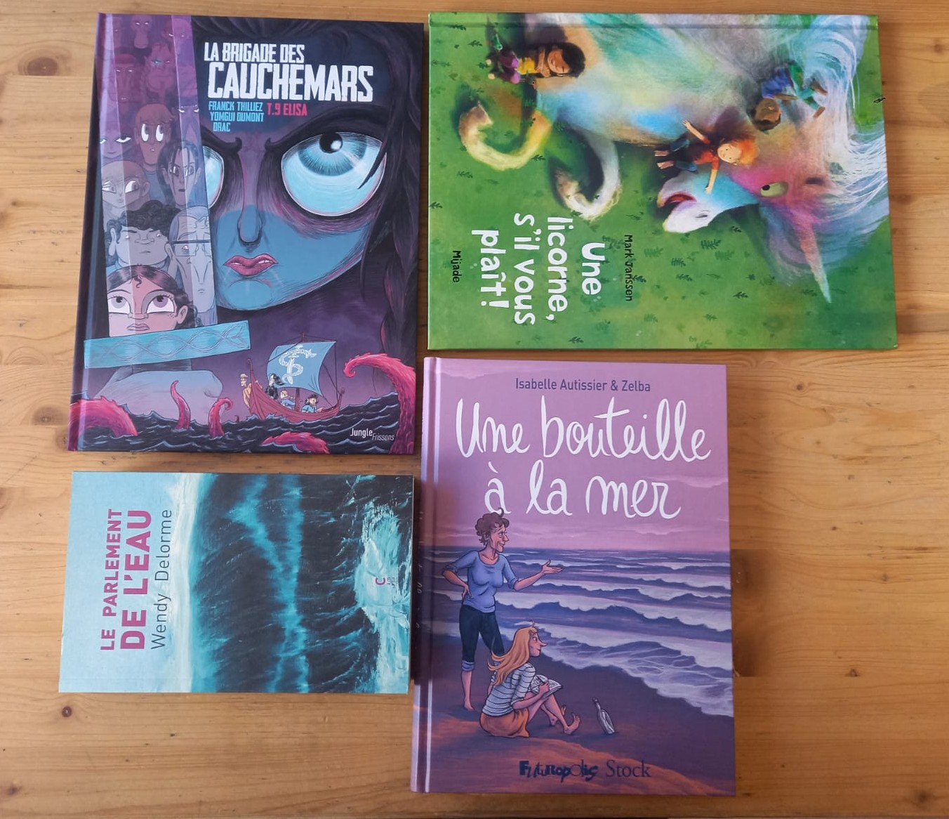 La chronique littéraire de la librairie Voyage au bout des livres 2/2